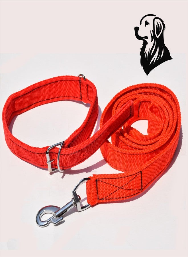 بيور سورس انديا طقم طوق رقبة وحزام ومقود من النايلون المقاوم للماء من بيور سورس إنديا للكلاب متوسطة الحجم أو الجراء الصغيرة (48 × 1 بوصة) (أحمر) - Image 1